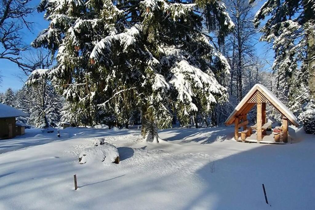 Le Petit Loup, Appartement Neuf Avec Jardin Gerbépal Zewnętrze zdjęcie
